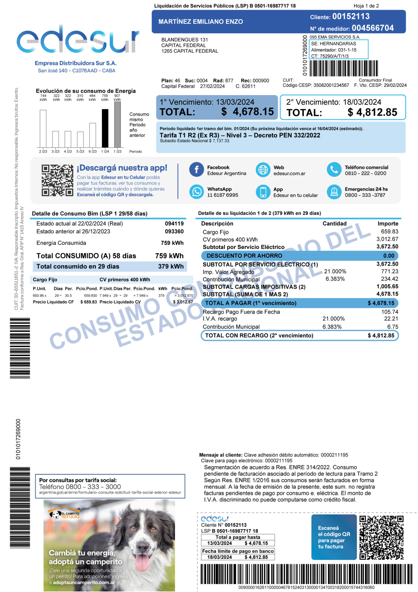 En el margen inferior de tu factura vas a poder ver la campaña "Cambiá tu energía: adoptá un camperito"